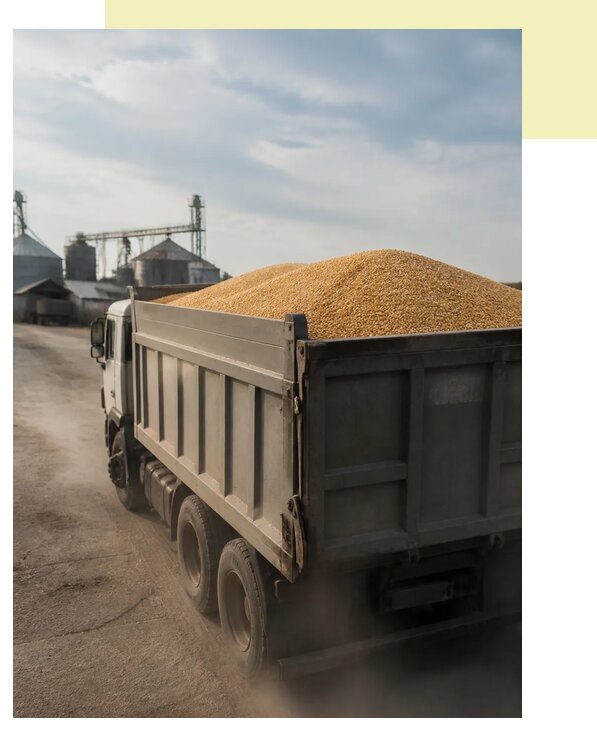 Перевозка сельхозпродукции навалом в Южноуральск по цене от 3281 р. | Агросервис-Жрк